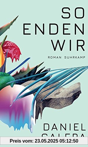 So enden wir: Roman