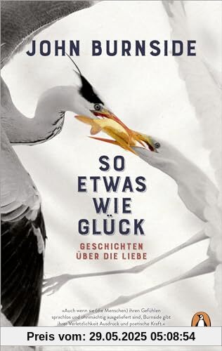 So etwas wie Glück: Geschichten über die Liebe