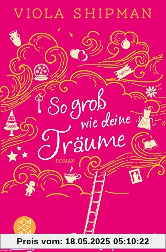 So groß wie deine Träume: Roman