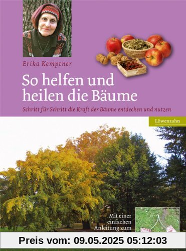 So helfen und heilen die Bäume: Schritt für Schritt die Kraft der Bäume entdecken und nutzen