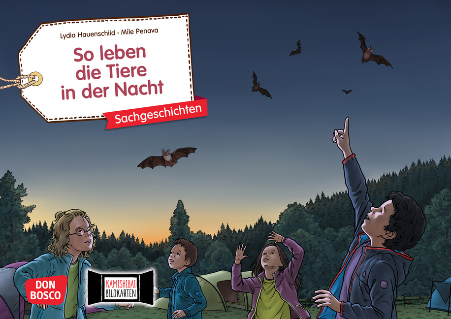 So leben die Tiere in der Nacht. Kamishibai Bildkartenset So leben die Tiere in der Nacht. Kamishibai Bildkartenset von Don Bosco Medien
