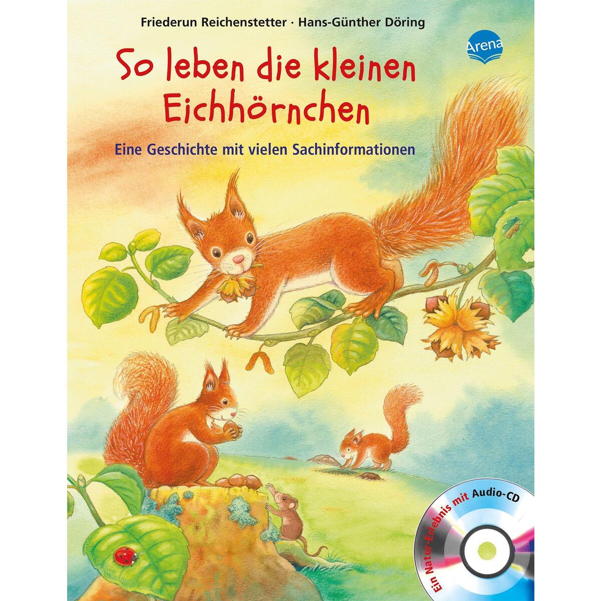 So leben die kleinen Eichhörnchen So leben die kleinen Eichhörnchen von Arena Verlag GmbH