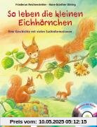 So leben die kleinen Eichhörnchen: Eine Geschichte mit vielen Sachinformationen