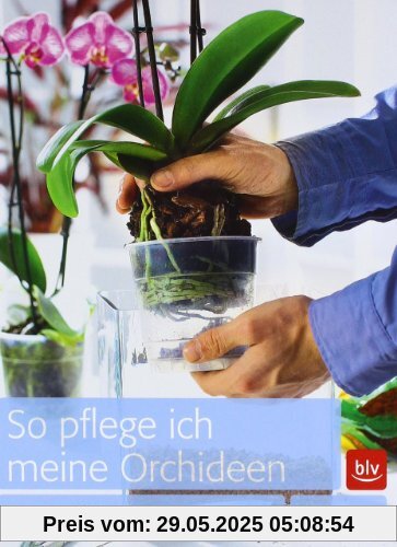 So pflege ich meine Orchideen: Das Praxisbuch