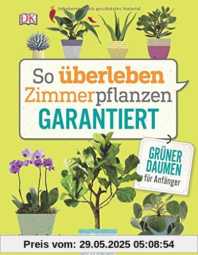 So überleben Zimmerpflanzen garantiert: Grüner Daumen für Anfänger So überleben Zimmerpflanzen garantiert: Grüner Daumen für Anfänger