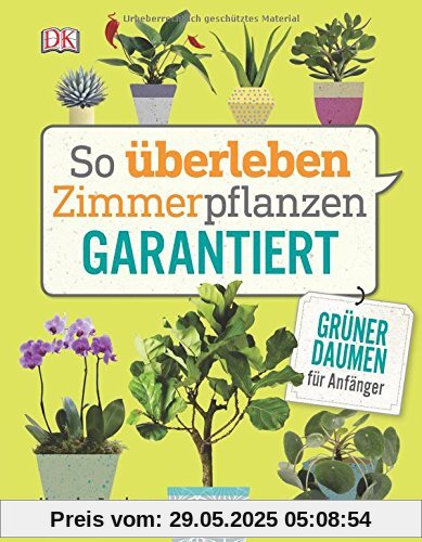 So überleben Zimmerpflanzen garantiert: Grüner Daumen für Anfänger