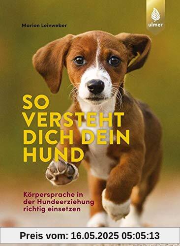 So versteht dich dein Hund: Körpersprache in der Hundeerziehung richtig einsetzen