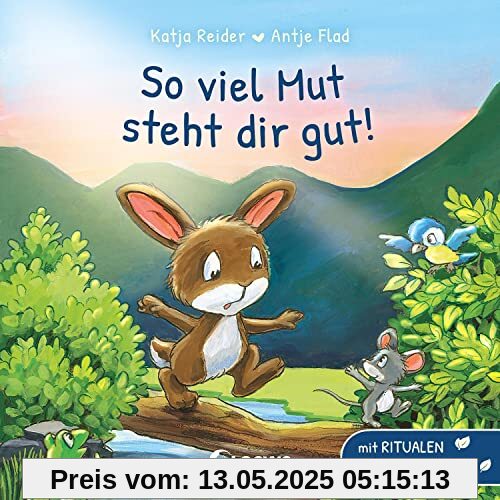 So viel Mut steht dir gut!: Mit Ritualen gegen Angst - Pappbilderbuch für Kleinkinder ab 18 Monaten So viel Mut steht dir gut!: Mit Ritualen gegen Angst - Pappbilderbuch für Kleinkinder ab 18 Monaten
