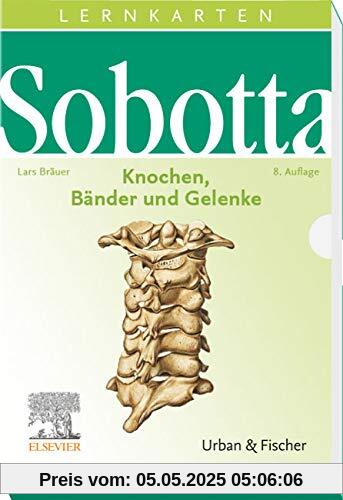 Sobotta Lernkarten Knochen, Bänder und Gelenke: Knochen, Bänder, Gelenke