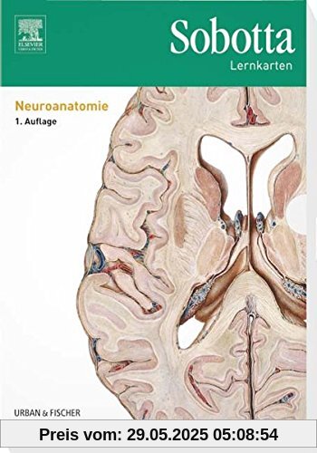 Sobotta Lernkarten Neuroanatomie