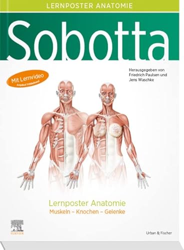 Sobotta Lernposter Anatomie: Muskeln - Knochen - Gelenke