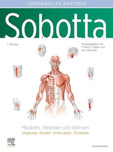 Sobotta Lerntabellen Anatomie Muskeln, Gelenke und Nerven: Ursprung – Ansatz – Innervation – Funktion (VORKLINIK - Lehrbuch - Urban & Fischer-Verlag) Sobotta Lerntabellen Anatomie Muskeln, Gelenke und Nerven: Ursprung – Ansatz – Innervation – Funktion (VORKLINIK - Lehrbuch - Urban & Fischer-Verlag)