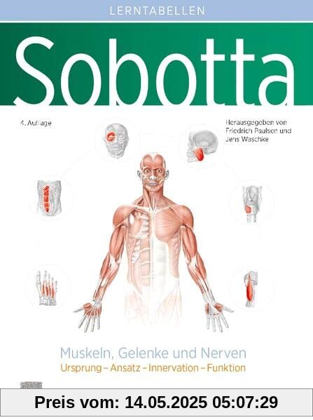Sobotta Lerntabellen Anatomie Muskeln, Gelenke und Nerven: Ursprung – Ansatz – Innervation – Funktion
