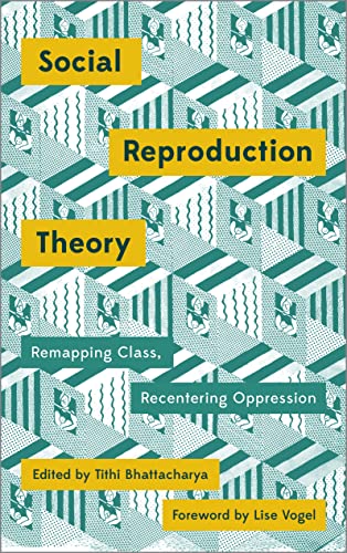 Social Reproduction Theory: Remapping Class, Recentering Oppression (Mapping Social Reproduction Theory) von Pluto Press (UK)