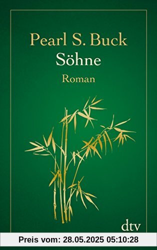 Söhne: Roman (dtv Fortsetzungsnummer 12)