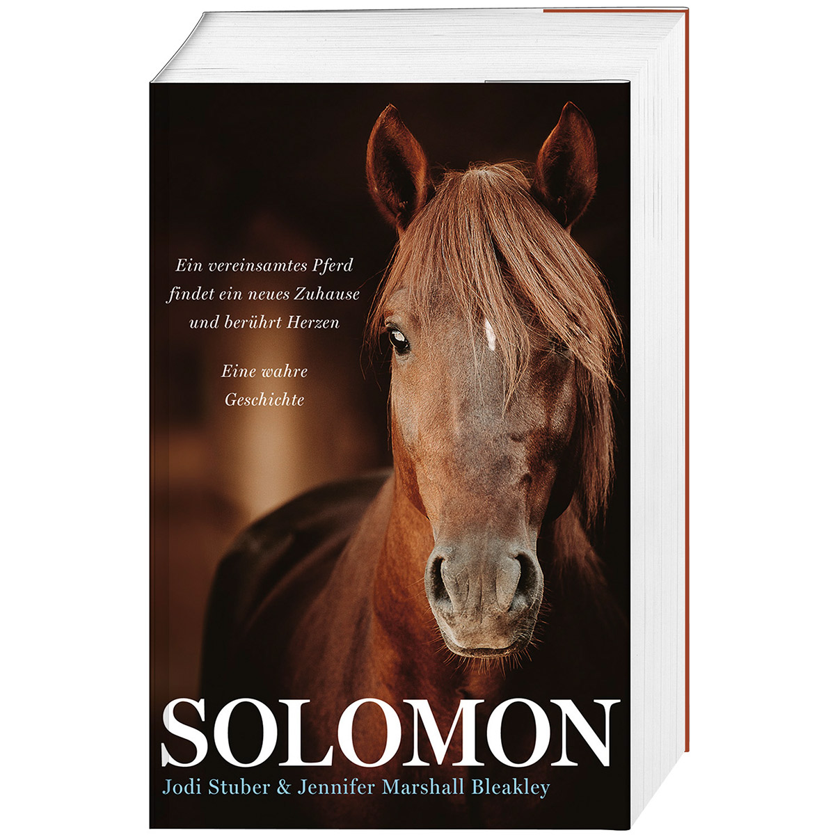 Solomon Solomon von Gerth Medien