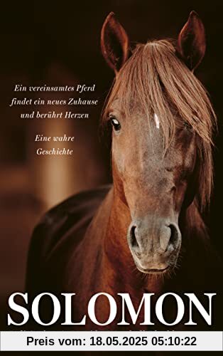 Solomon: Ein vereinsamtes Pferd findet ein neues Zuhause und berührt Herzen. Eine wahre Geschichte