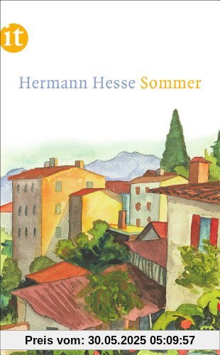 Sommer (insel taschenbuch)