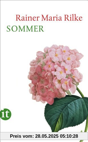 Sommer (insel taschenbuch)