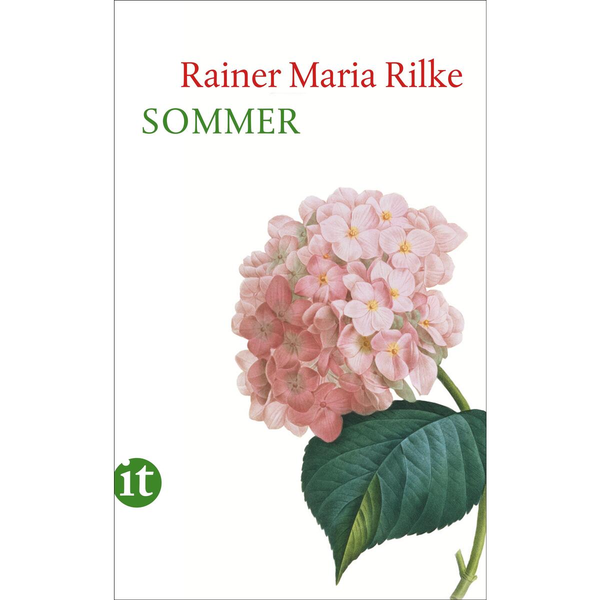 Sommer Sommer von Insel Verlag