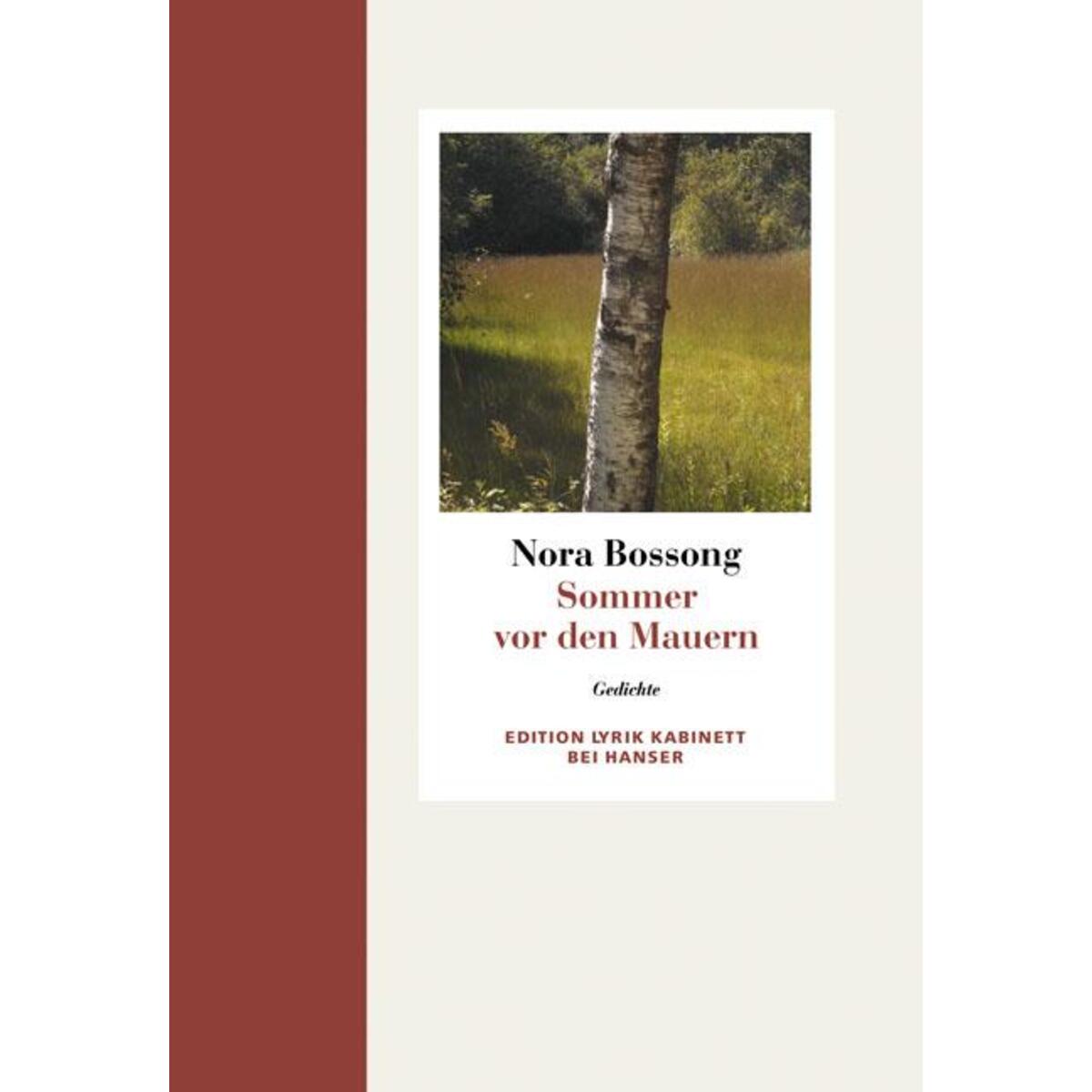 Sommer vor den Mauern von Carl Hanser Verlag
