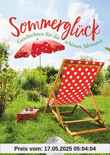 Sommerglück (dtv großdruck)