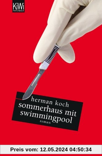 Sommerhaus mit Swimmingpool: Roman