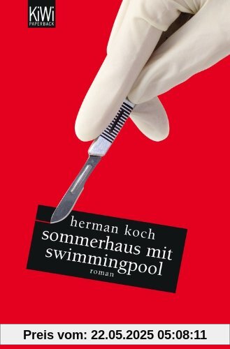 Sommerhaus mit Swimmingpool: Roman