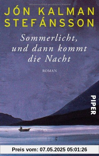 Sommerlicht, und dann kommt die Nacht: Roman Sommerlicht, und dann kommt die Nacht: Roman