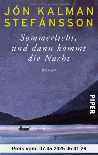 Sommerlicht, und dann kommt die Nacht: Roman