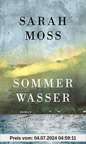 Sommerwasser: Roman
