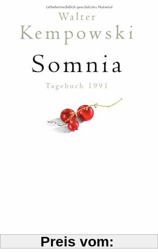 Somnia: Tagebuch 1991