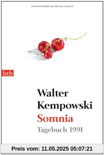 Somnia: Tagebuch 1991
