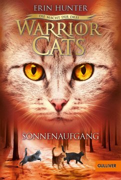 Sonnenaufgang / Warrior Cats Staffel 3 Bd.6 von Beltz