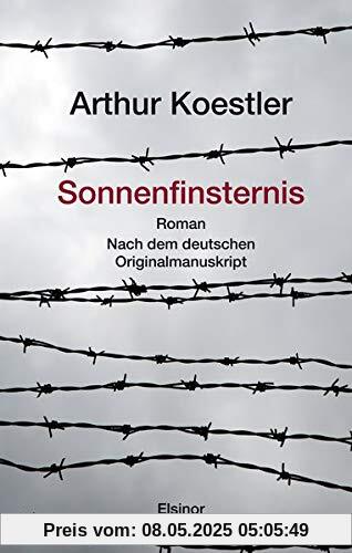 Sonnenfinsternis: Roman. Nach dem deutschen Originalmanuskript