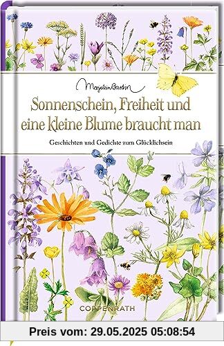 Sonnenschein, Freiheit und eine kleine Blume braucht man: Geschichten und Gedichte zum Glücklichsein