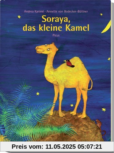 Soraya, das kleine Kamel