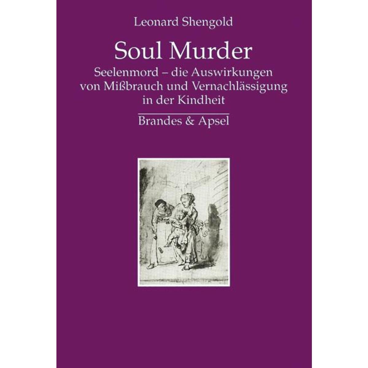 Soul Murder Soul Murder von Brandes + Apsel Verlag Gm