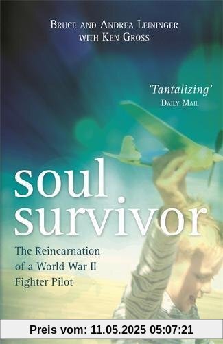 Soul Survivor: The Reincarnation of a World War II Fighter Pilot