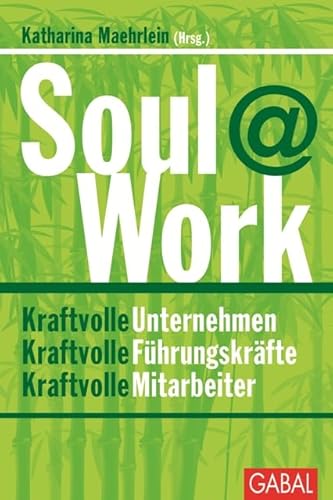 Soul@Work: Kraftvolle Unternehmen, kraftvolle Führungskräfte, kraftvolle Mitarbeiter (Dein Business)