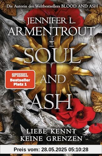 Soul and Ash – Liebe kennt keine Grenzen: Roman (Liebe kennt keine Grenzen-Reihe, Band 5)