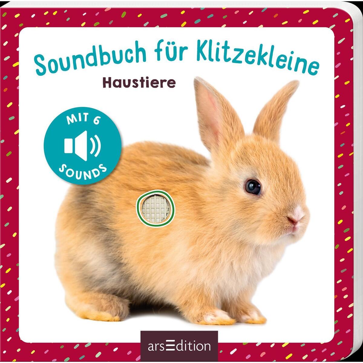 Soundbuch für Klitzekleine »Haustiere« Soundbuch für Klitzekleine »Haustiere« von Ars Edition GmbH