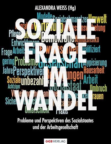 Soziale Frage im Wandel: Probleme und Perspektiven des Sozialstaates und der Arbeitsgesellschaft (Arbeit, Recht, Gesellschaft) von GB Ges.m.b.H. Wien