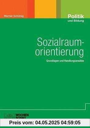 Sozialraumorientierung: Grundlagen und Handlungsansätze (Politik und Bildung)