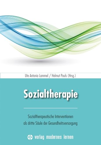 Sozialtherapie: Sozialtherapeutische Interventionen als dritte Säule der Gesundheitsversorgung von Modernes Lernen Borgmann