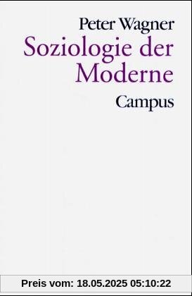 Soziologie der Moderne (Theorie und Gesellschaft)