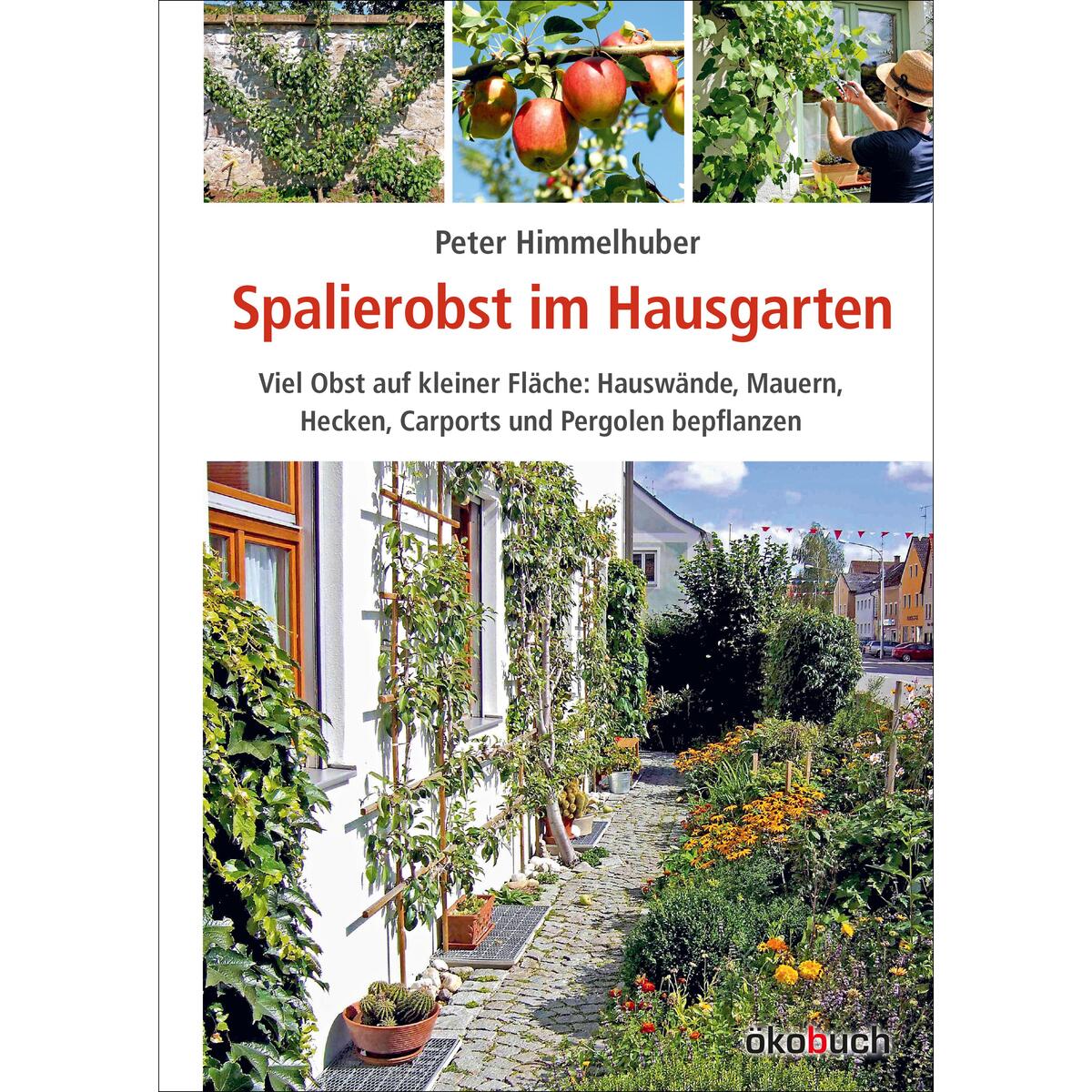 Spalierobst im Hausgarten Spalierobst im Hausgarten von Ökobuch Verlag GmbH