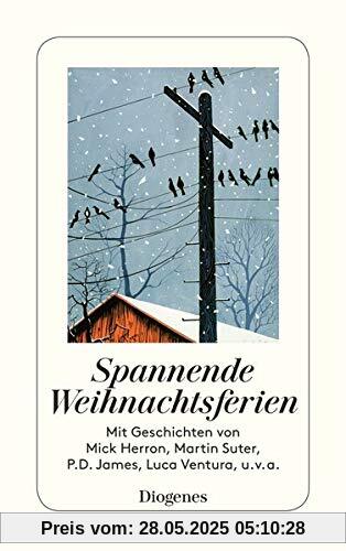 Spannende Weihnachtsferien (detebe)