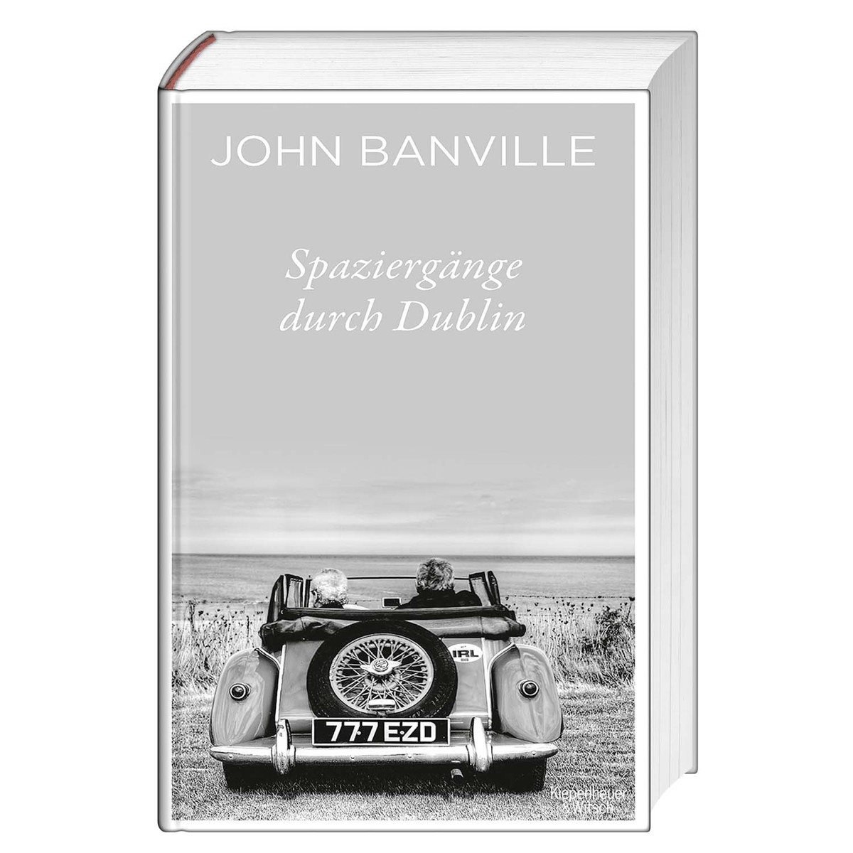 Spaziergänge durch Dublin von Kiepenheuer & Witsch