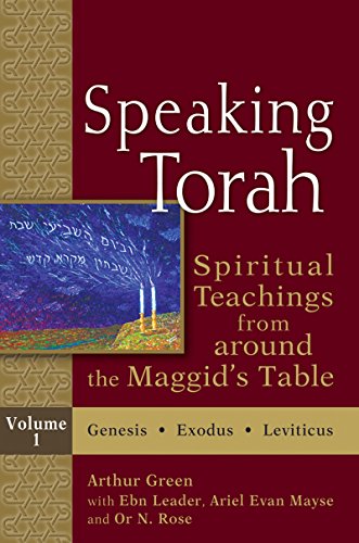 Speaking Torah Vol 1: Spiritual Teachings from around the Maggid's Table von Jewish Lights Publishing